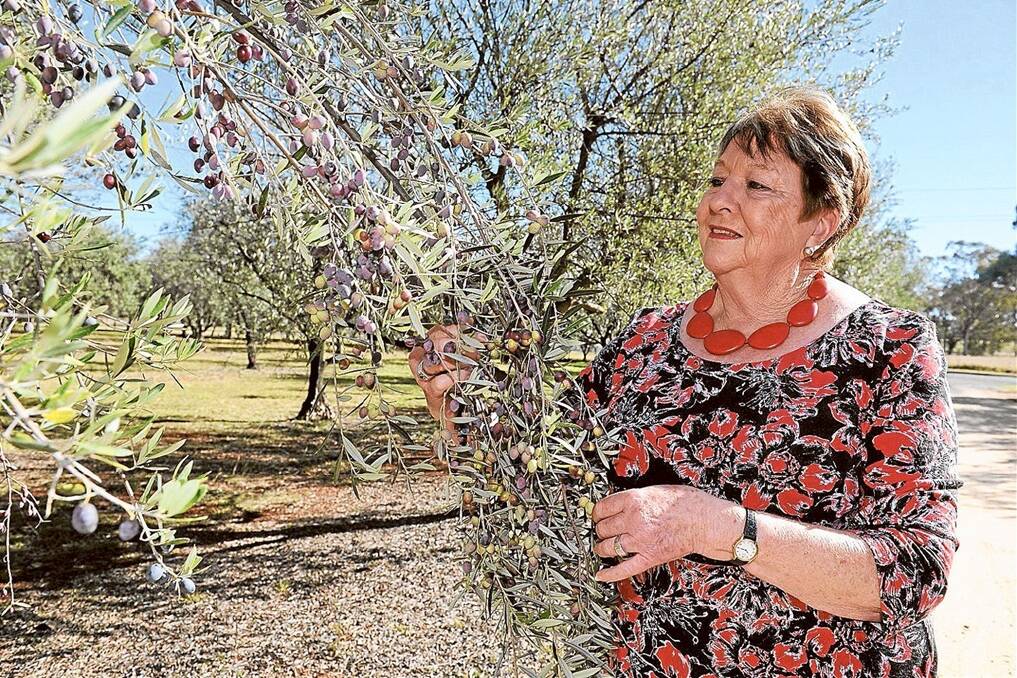 Heather Parsons, Inverell, has established an olive oil business and a cellar door which caters to a bustling tourist trade.