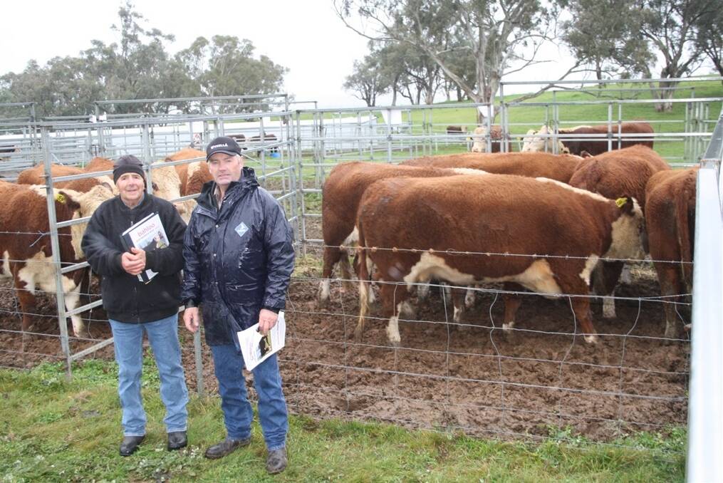 Bob Nader, Bahloo Poll Herefords, Yass, with Ross Robertson, representing JWR Poll Herefords, Goulburn. 