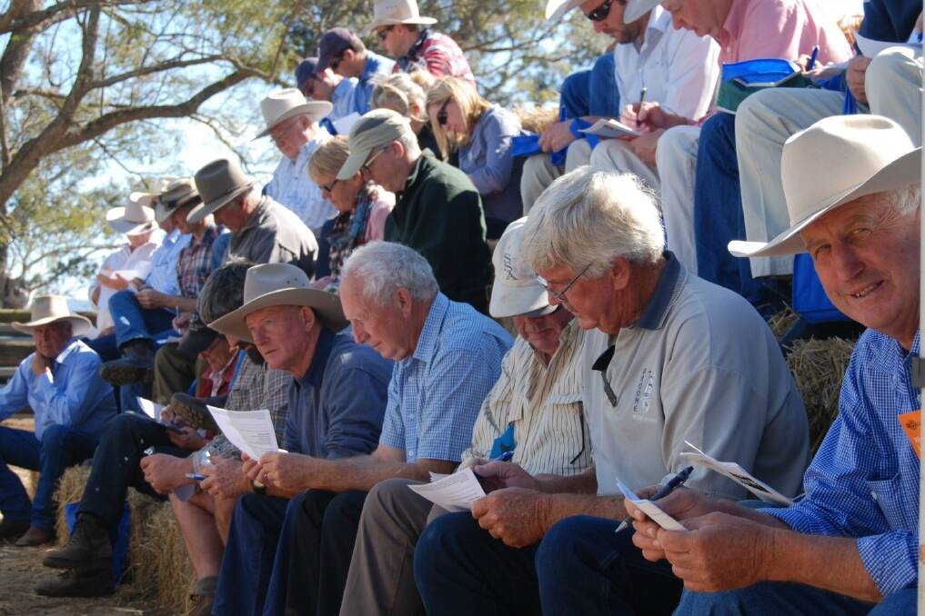 Pull together a few industry leaders and some good cattle and you've got yourself a field day, which is exactly what the team at Yulgilbar did earlier this month.