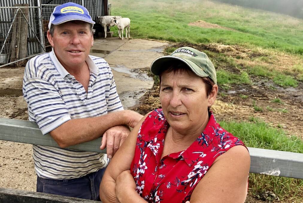Dorrigo dairy farmers Julie and Michael Moore are among hundreds of farmers who have been listed on the Aussie Farms interactive map. Photo by Samantha Townsend.