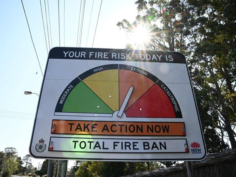 Multiple regions across NSW are facing a day of extreme fire danger. (Dan Himbrechts/AAP PHOTOS)