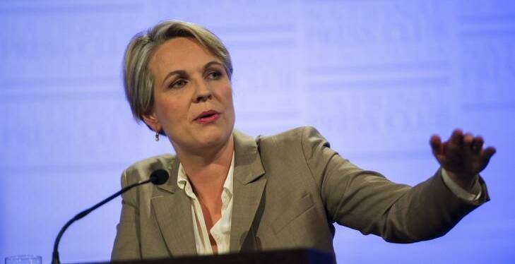Minister for Water Tanya Plibersek has said the Federal Government is looking for "innovative ideas" to help fulfil MDBA Plan commitments. Picture supplied 