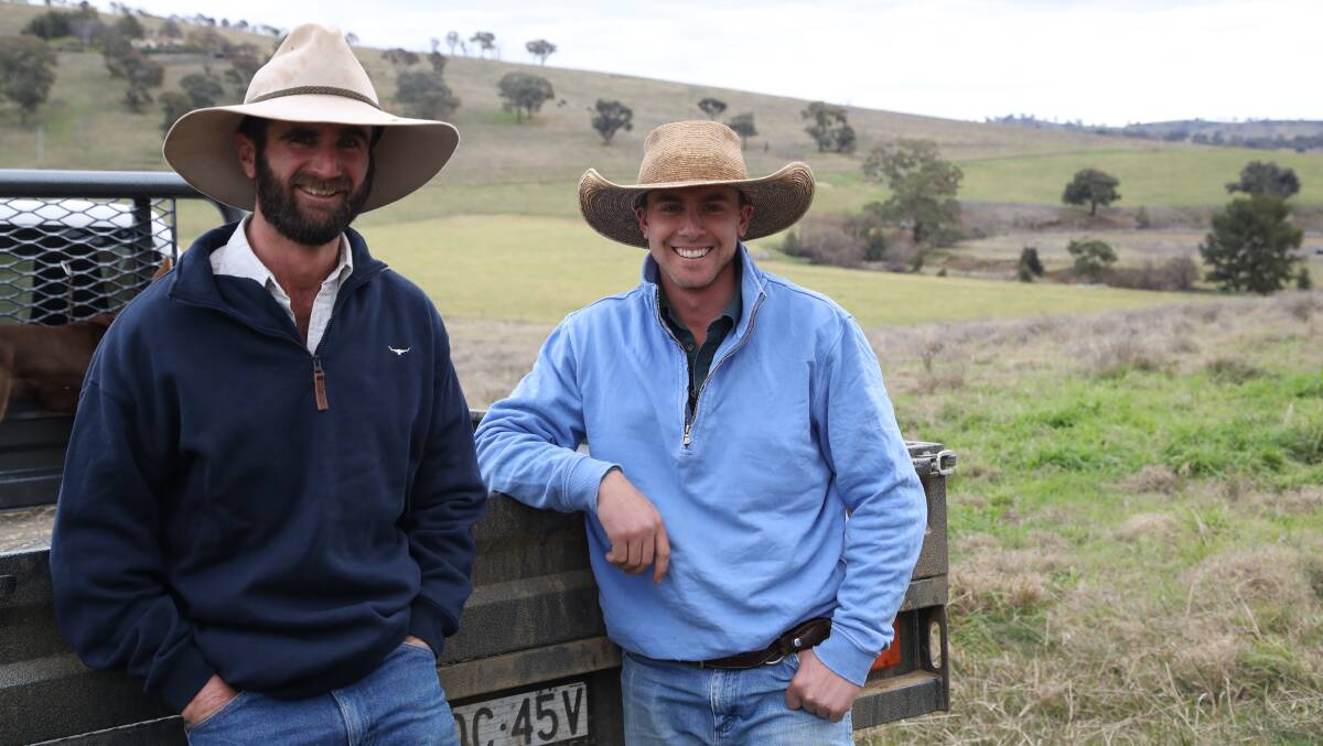 Gilmandyke's general manager Wade Peatman and stud manager Pete McNamara are passionate about continuing on the great Gilmandyke legacy. Picture supplied