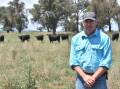 Mitch Crawford, Baringa Pastoral, Walcha, NSW, has entered the family's prize winning Angus cattle into the Beef 2024 competition. Picture: Andy Saunders