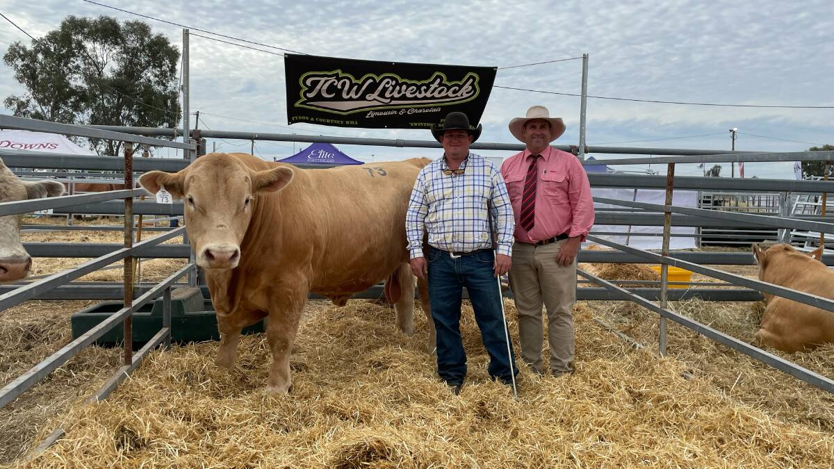 TCW Livestock The King with vendor Tyson Will, TCW Livestock, Delungra, NSW, and Elders' Anthony Ball after the Ag-Grow Elite Bull Sale. Picture by Judith Maizey