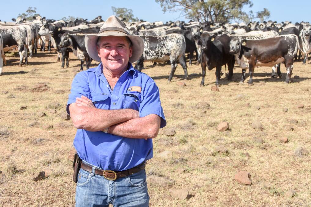 While Mr Power had utilised feedlots during droughts, it was the first time he had joined his females while being fed. 
