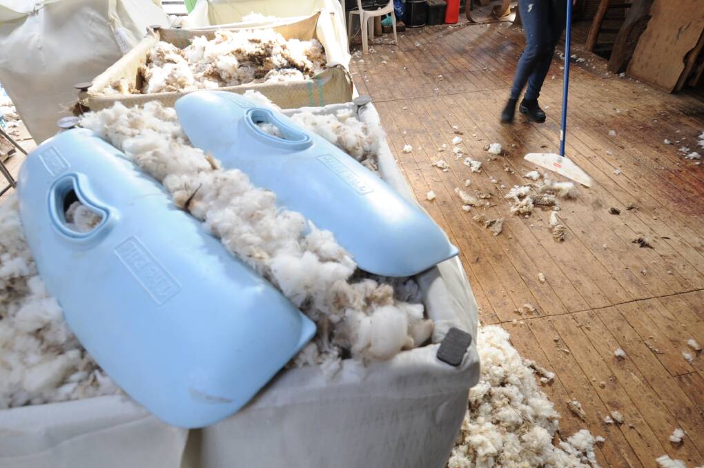Medium micron Merino fleece types led the way last week, with solid gains of up to 50c/kg. File picture