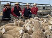 The Forbes Livestock team of Randal Grayson, Jack Rix, Jack Piercy and Sam Mackay during last week's Forbes prime lamb sale. Picture by Karen Bailey.