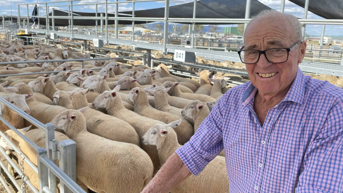 Stewart Dow, Manilla, with heavy lambs that sold for $249 to Thomas Foods at Tamworth's lamb sale on Monday. Photo by Simon Chamberlain.