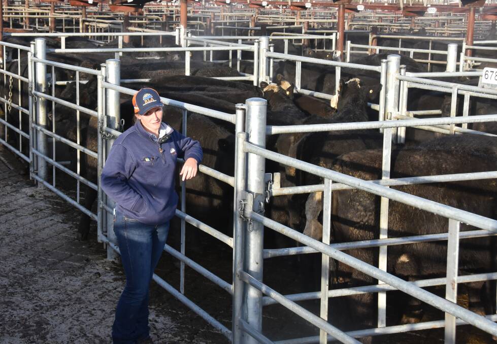 Montanna Ross, Riverina Livestock Agents, Wagga Wagga, checks over a pen of heifers sold by Mark Irvin, Mangalo, Coolamon, during the Wagga prime sale on Monday. Picture by Helen DeCosta.