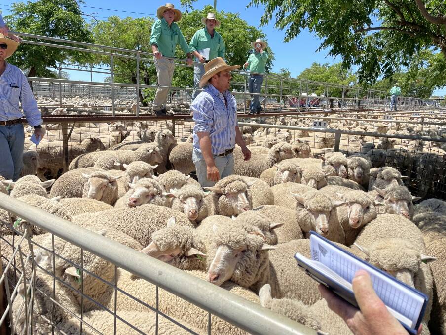 Auction action during the Dubbo prime lamb sale on Monday. Picture by Karen Bailey.