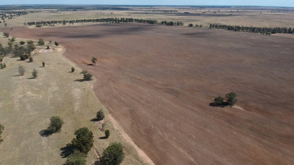 The properties are located 53-60km north of Dubbo and 28-40km south of Collie. Picture - supplied