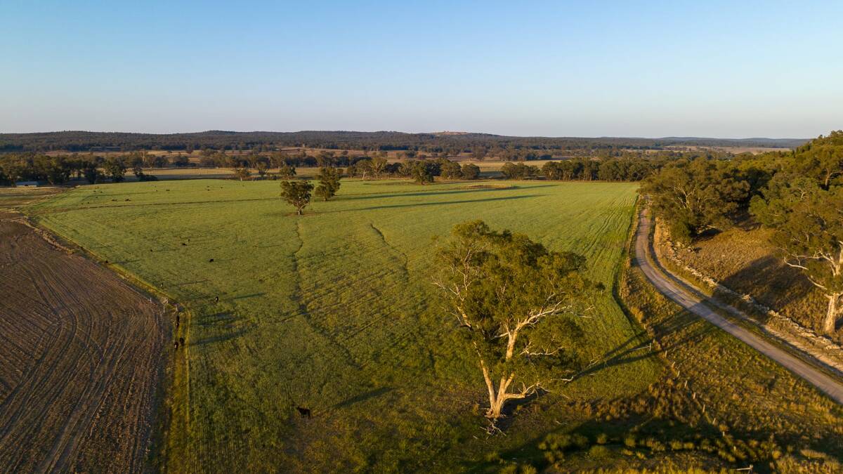 Stand out Central West NSW property Lockerbie is headed to auction after 97 years of ownership by the Gaden family. Picture supplied