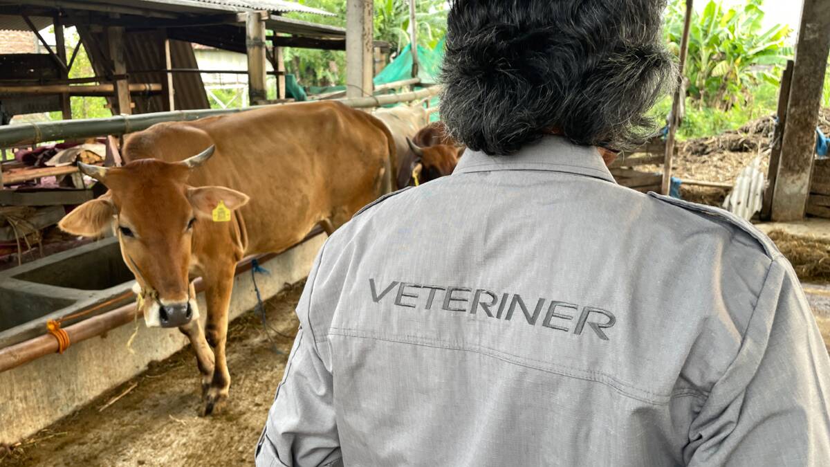 Indonesia ramps up exotic disease preparedness with Australian support