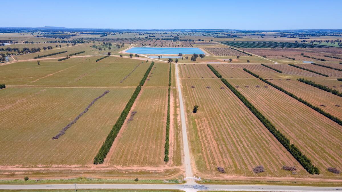 A major NSW Riverina farming aggregation with 11,361 megalitres of water entitlements is expected to attract offers of more than $80 million. Picture supplied