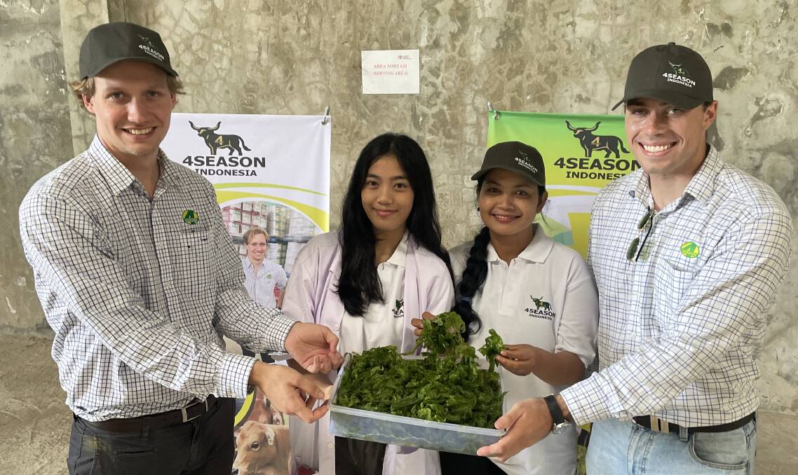 Josh Olsson and Matt Anschau from the 4 Season Company with seaweed farmers Rahmayani and Suci.