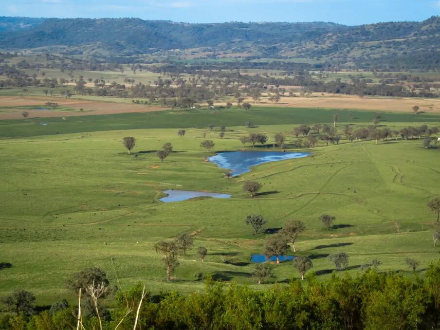 Negotiations are continuing on the river country cattle property Belfield after it was passed in at auction for $10.2 million. Picture - supplied